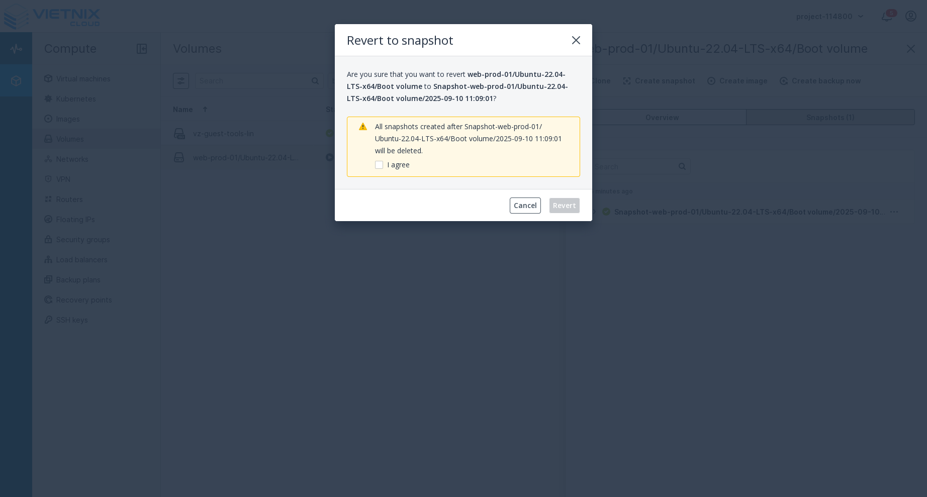 Revert to Snapshot Confirmation